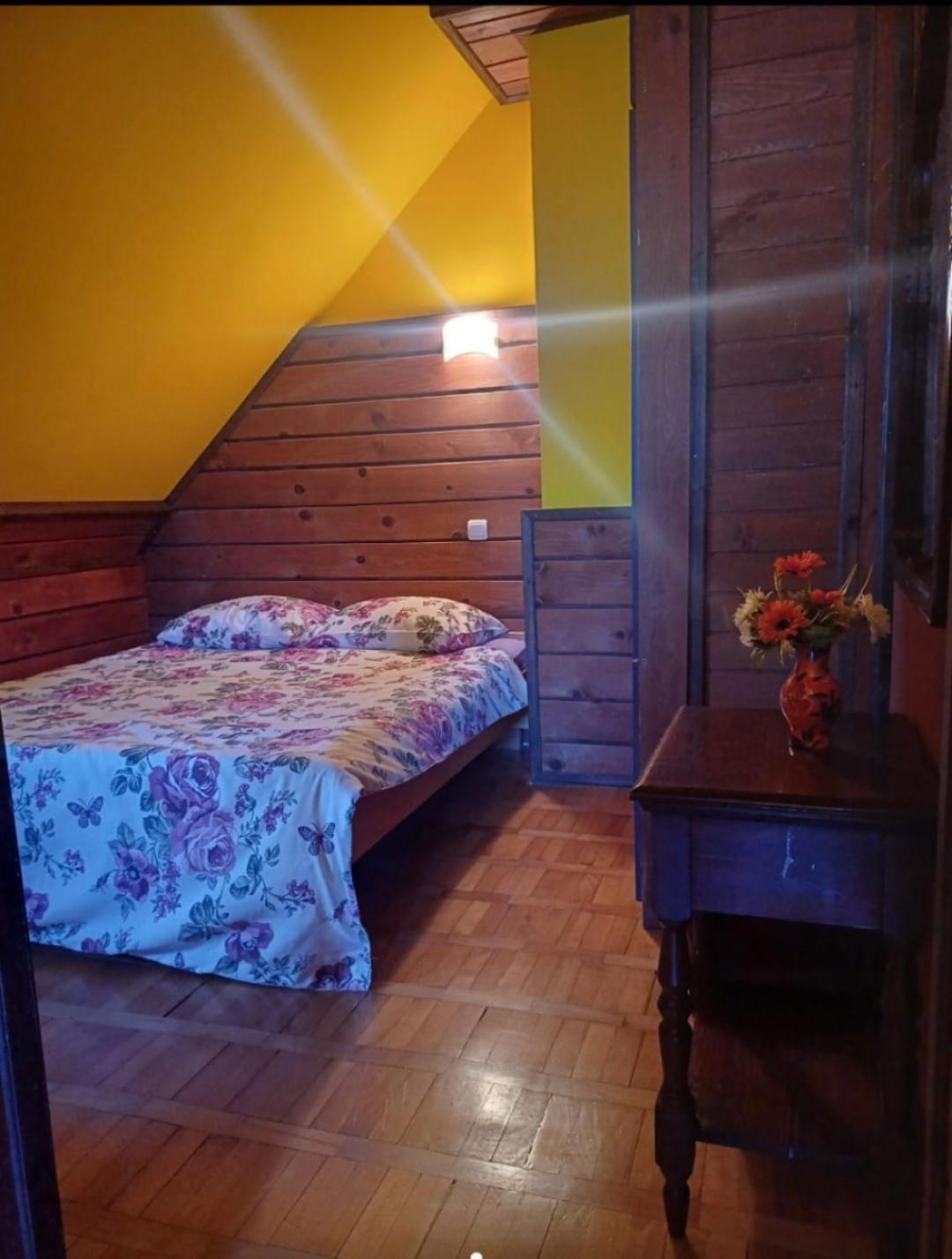 Guest House Alpska Vila Ζλάτιμπορ Εξωτερικό φωτογραφία