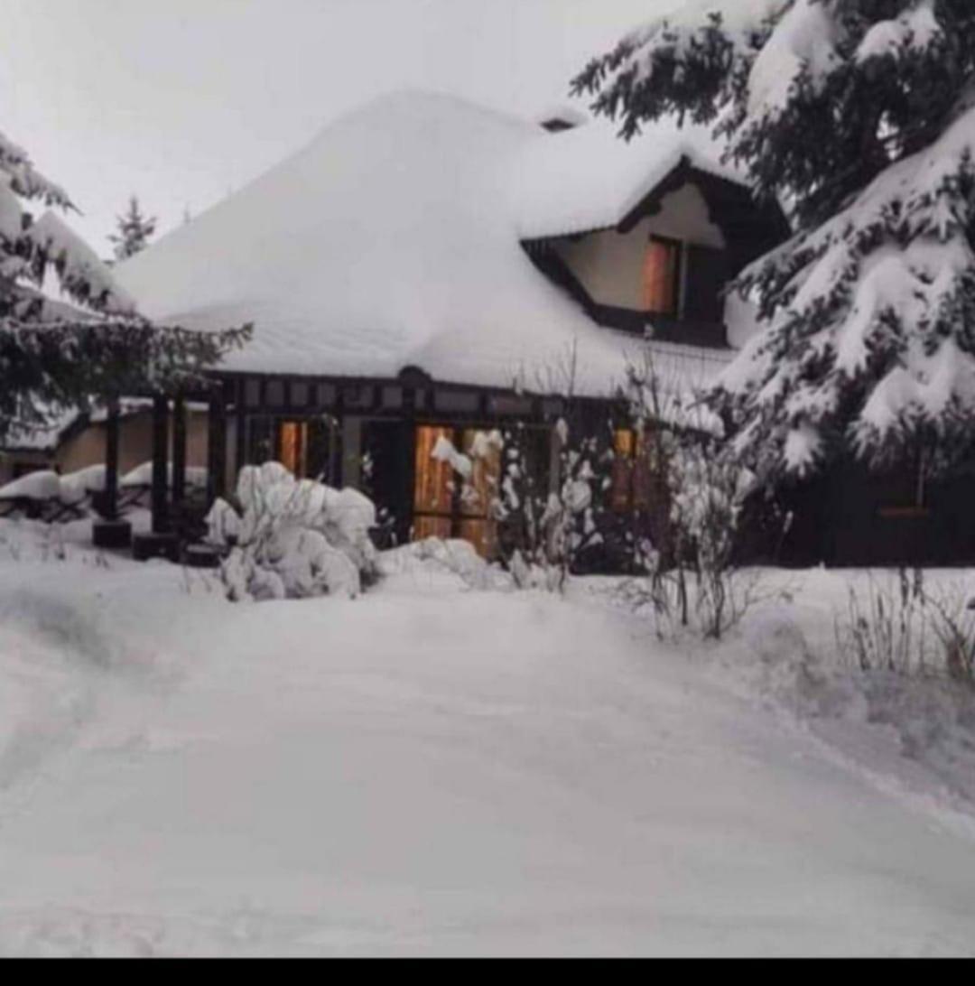 Guest House Alpska Vila Ζλάτιμπορ Εξωτερικό φωτογραφία